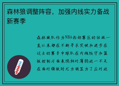 森林狼调整阵容，加强内线实力备战新赛季